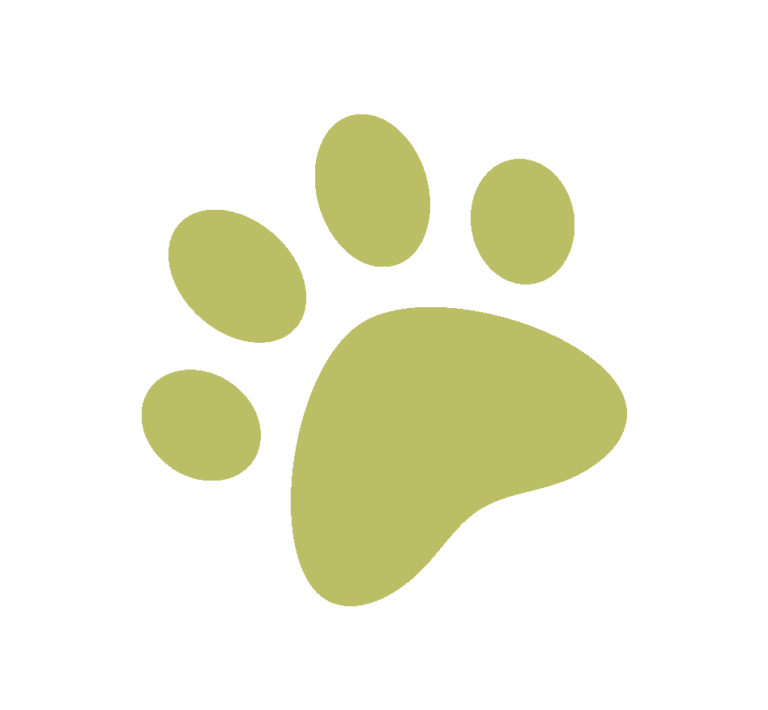 A simple, solid light green paw print icon with four toes and a pad, displayed on a white background.