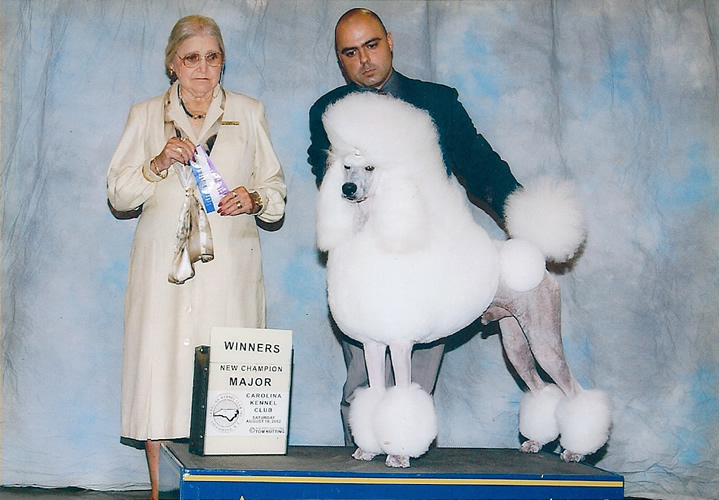 An older woman and a man pose with a large white poodle on a platform at a dog show. A sign reads “Winners, New Champion Major, Carolina Kennel Club.” The background is light blue and gray.