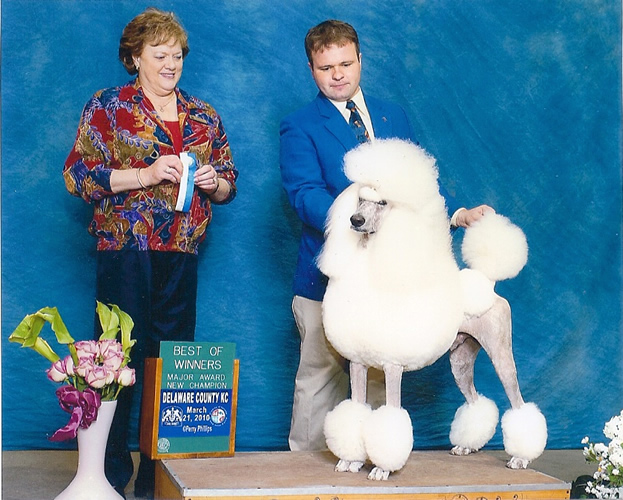 A woman and a man stand beside a well-groomed white poodle on a platform. A sign reads "Best of Winners" and "New Champion." There are flowers in the foreground and a blue backdrop behind them.
