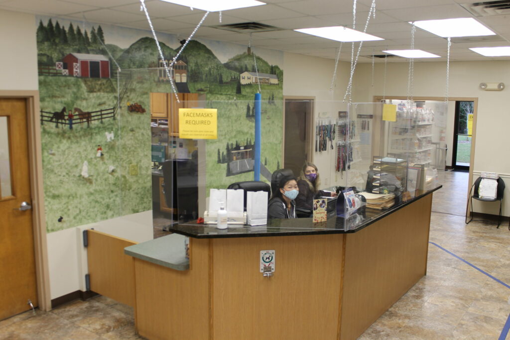 Two people wearing face masks sit behind a reception desk with plexiglass shields in a veterinary clinic; a mural with a farm scene decorates the wall behind them. A "FACEMASKS REQUIRED" sign is posted on the plexiglass.