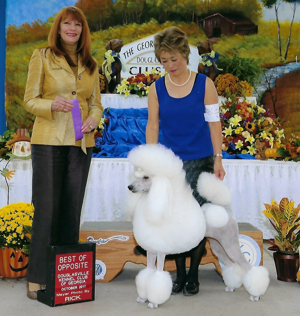 Two women stand with a well-groomed white poodle at a dog show. One woman holds a ribbon while the other holds the dog. A sign reads “Best of Opposite” among fall-themed decorations and a scenic backdrop.