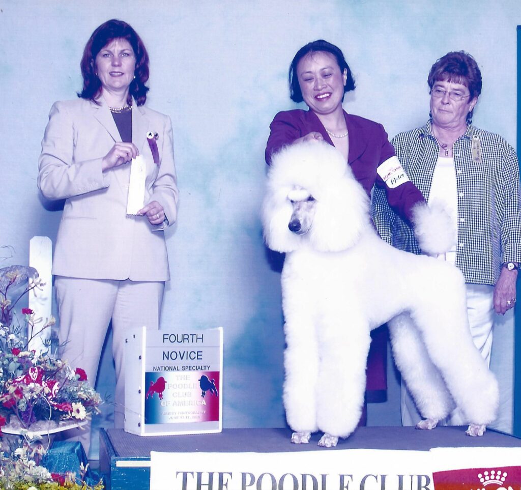 Three women stand behind a large, groomed white poodle at a dog show. One woman holds a ribbon labeled "Fourth Novice." A sign reads "The Poodle Club" with flowers arranged nearby.