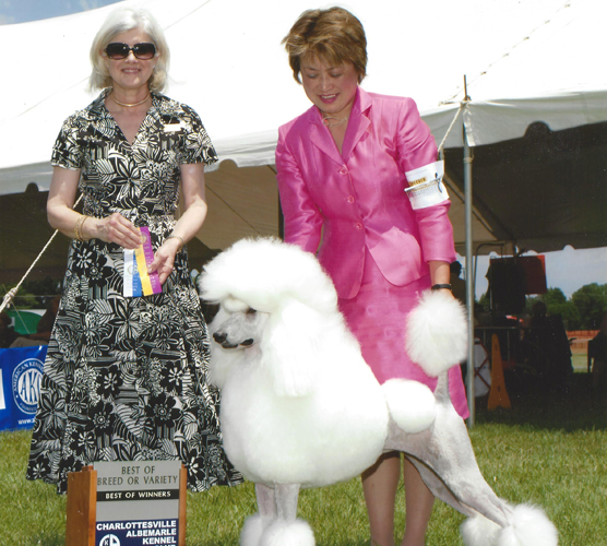 Two women stand outside by a tent with a large, groomed white poodle that has won a dog show. One woman holds ribbons, while the other holds the poodle. A sign on the ground displays the awards won.