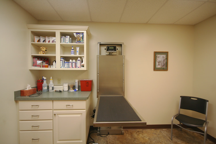 A veterinary exam room with a counter holding medical supplies, cabinets, a mounted exam table, a picture of a dog on the wall, and a black plastic chair in the corner.