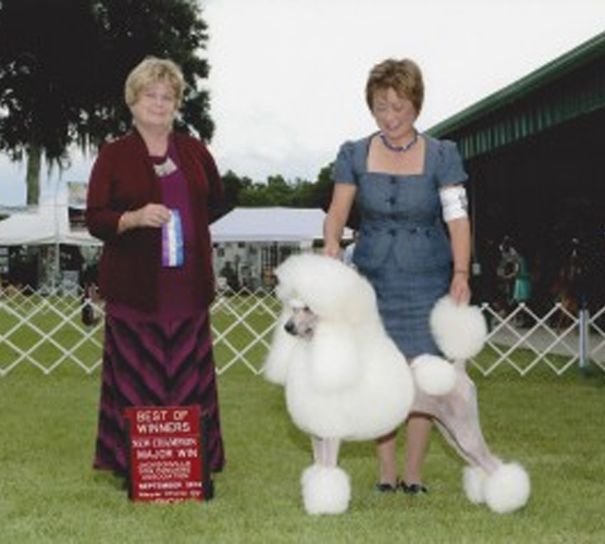 Two women stand outdoors at a dog show. One woman holds a ribbon, and the other poses a white poodle beside a sign that reads “Best of Winners.” There is a tent and trees in the background.
