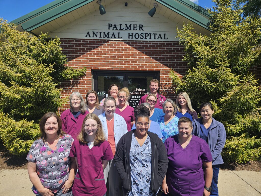 A group of people standing in front of a building.