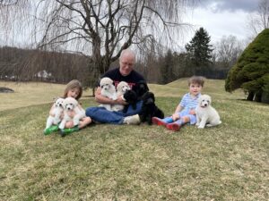 A man and two young children sit on grass, each holding several fluffy puppies of various colors, with more puppies around them. Bare trees and a cloudy sky are in the background.